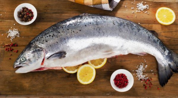 losos 1 600x331 - Чем полезен лосось и как его готовить