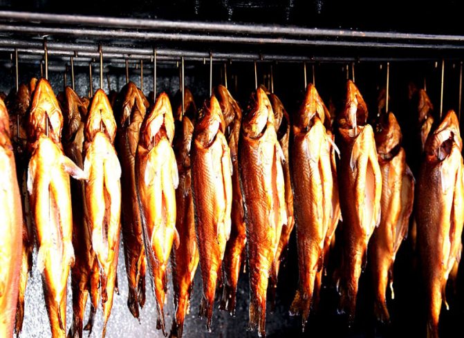 Сколько хранится копченая рыба в холодильнике
