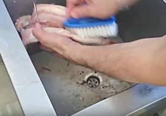 Фаршированная рыба чулком. Разделка рыбы. Как быстро снять кожу с языка. Пилинг для отшелушивания кожи. Как быстро снять кожу с языка.