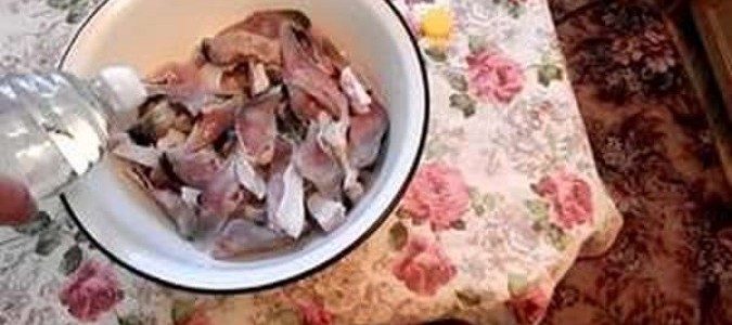 Толстолобик, маринованный в уксусе: обалденная закуска к новогоднему столу